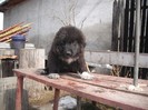 DSCF0477