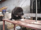 DSCF0476