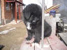 DSCF0470
