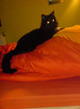 DSC00659