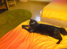 DSC00666