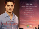 breaking_dawn_promo2