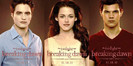 Twilight-Breaking-Dawn-Promotional-Cards-at-Comic-Con