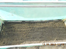 DSCN1290