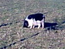 Image0975