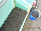 DSCN1294