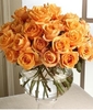 195orangeroses2