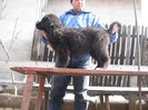 DSCF0541