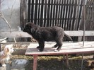 DSCF0546