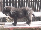 DSCF0547