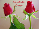 felicitari-online-imi_este_dor_de_tine-1260