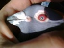 Imag1056