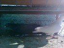 Imag1159