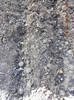 DSCN1347