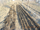 DSCN1360