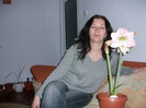 poze 2025