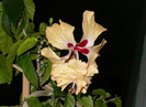 P1370533