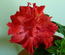 P1370573