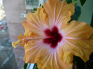 P1370553