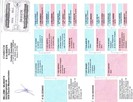 B 04 5048378 F.