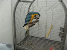 Picture 253