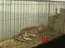 Picture 323
