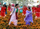 panjab24041003