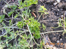 DSCN0135