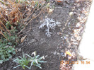 DSCN0143