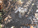 DSCN0144