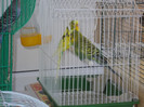 DSCN0036