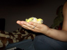 DSCN0072