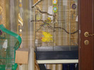 DSCN0351