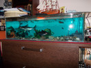 DSCN0398