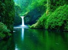 imagini-desktop-wallpapers-cascada-in-jungla