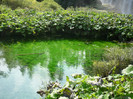 plitvice 050