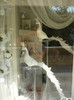 rovinj-porec 097