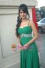 Buna Amir