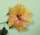 P1370600