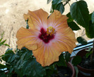 P1370606
