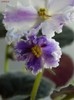 EK-Hrustalinaia Melodia-