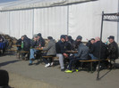 Copy (5) of Picture 242