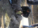 Copy (9) of Picture 229