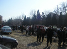 Copy (8) of Picture 231