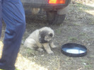 Copy (10) of Picture 227