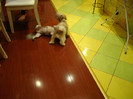 DSC00107
