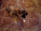 DSC00118