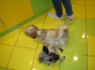 DSC00125