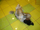 DSC00128