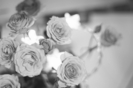 x.Black` and` whiite`...